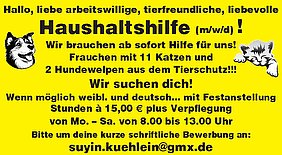 AVP24 gestaltete Anzeige