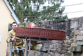 Storchennistnest