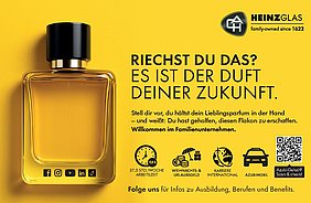 AVP24 gestaltete Anzeige