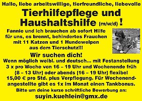 AVP24 gestaltete Anzeige