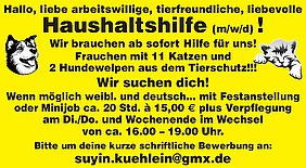 AVP24 gestaltete Anzeige