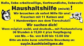 AVP24 gestaltete Anzeige