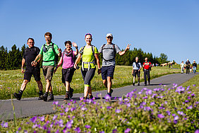 AVP24 gestaltete Anzeige